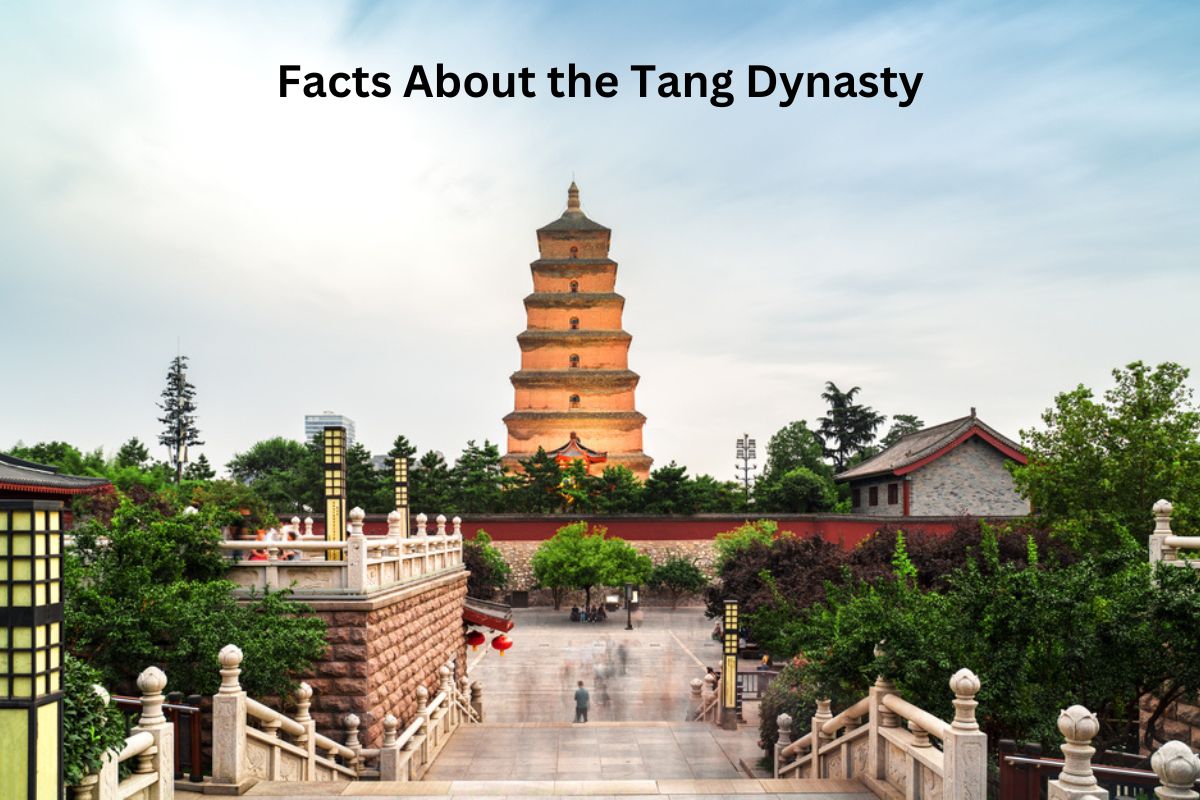 Facts About the Tang Dynasty