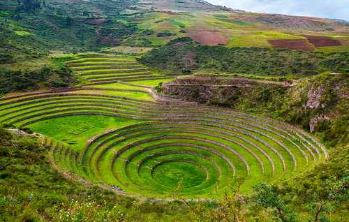 Inca circular terraces