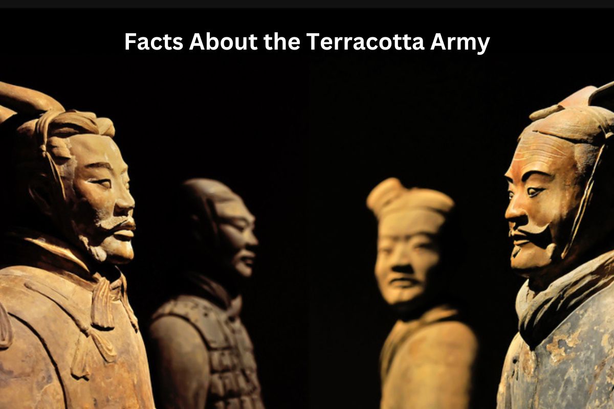 Facts About the Terracotta Army