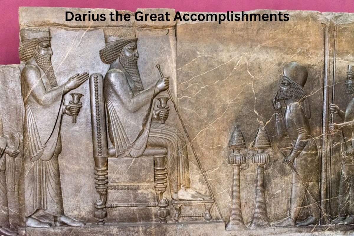 Darius the Great Accomplishments