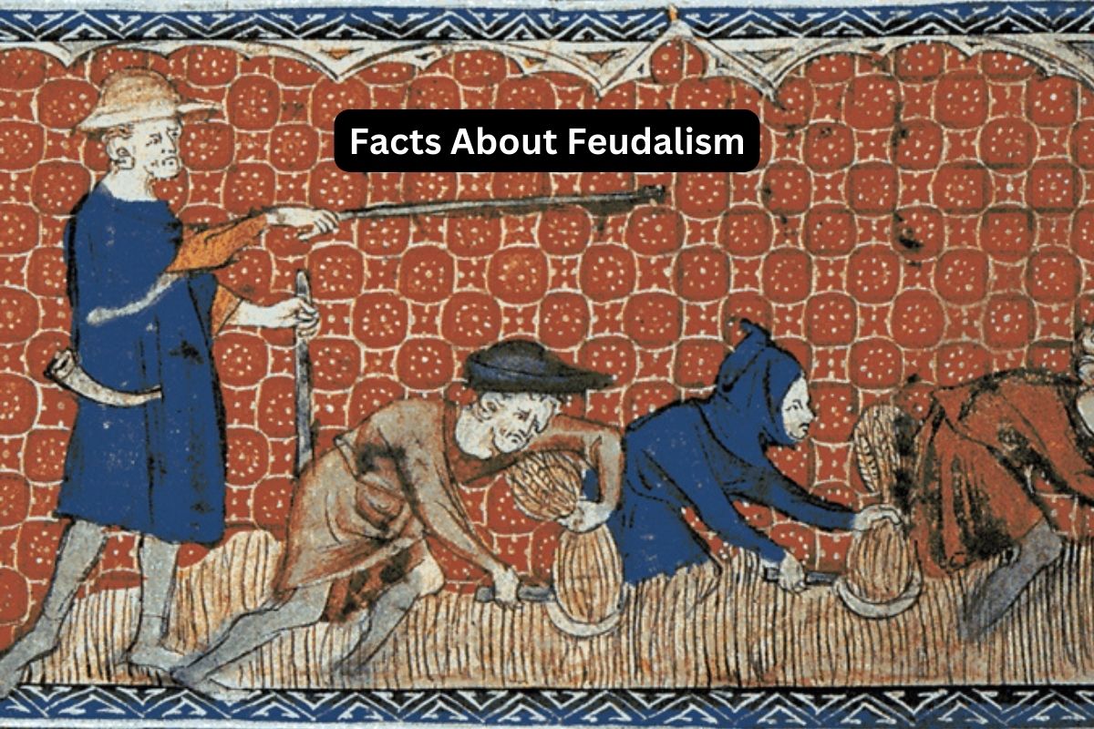 Facts About Feudalism