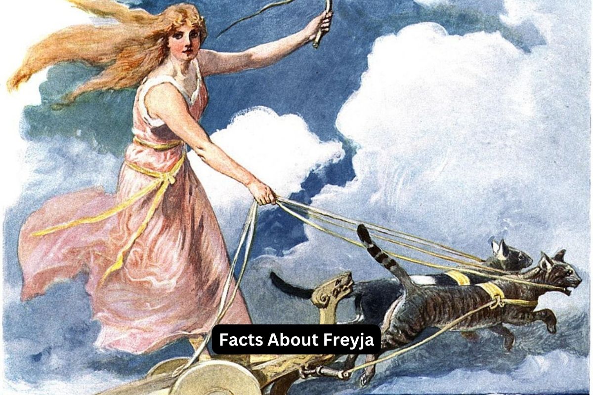 Facts About Freyja
