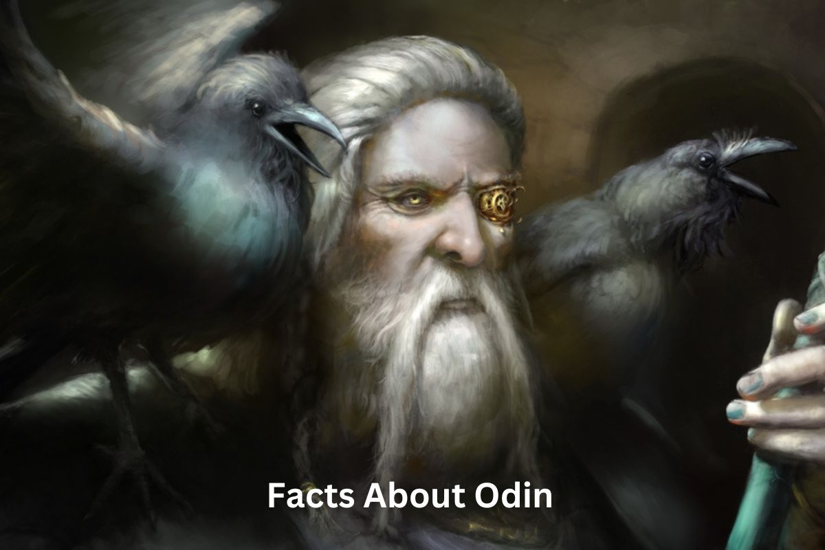 Odin – the one-eyed All-Father