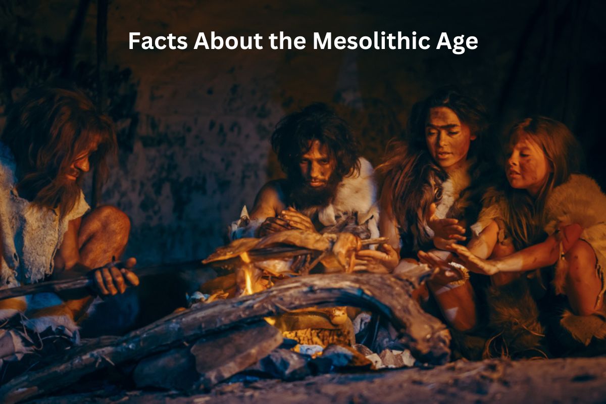 Facts About the Mesolithic Age