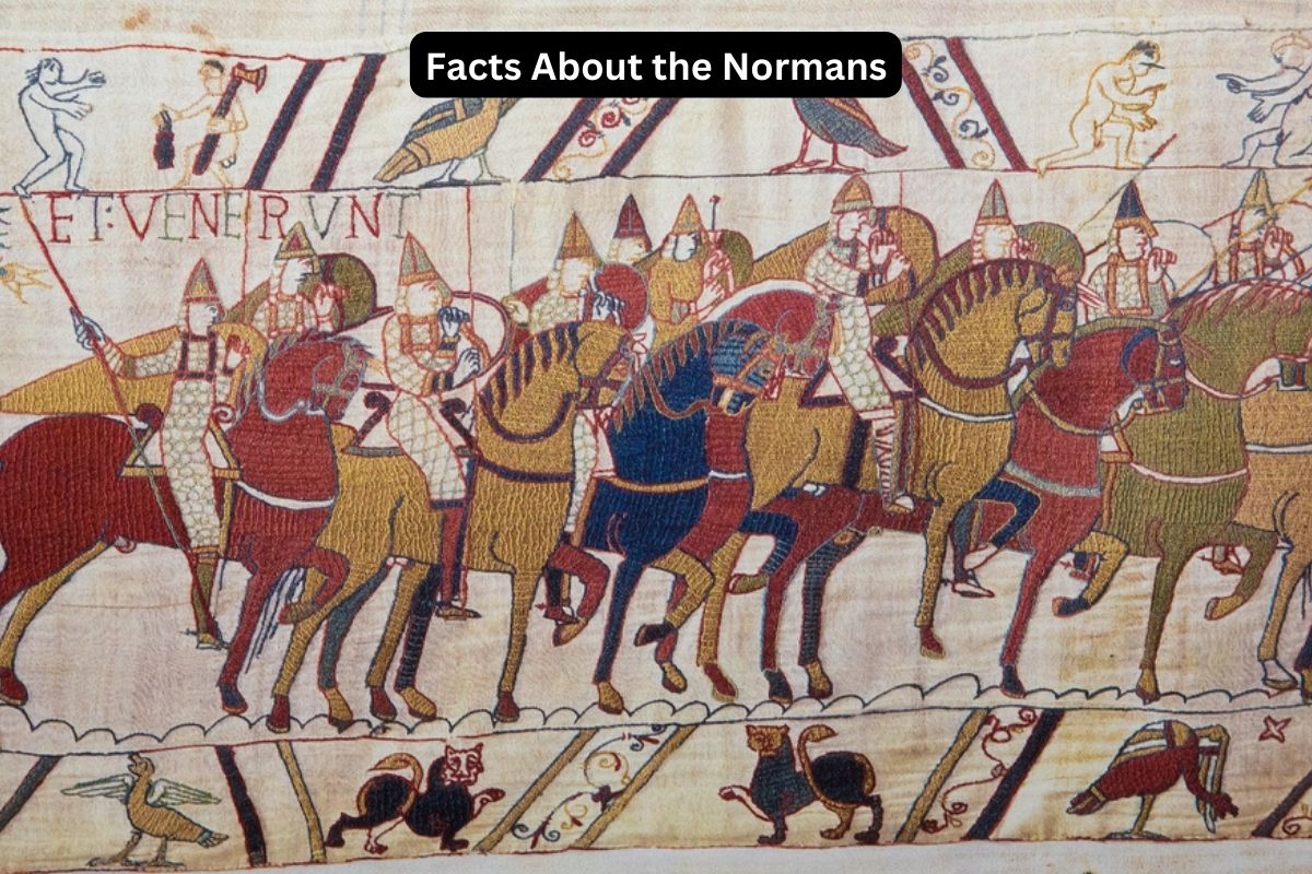 Facts About the Normans