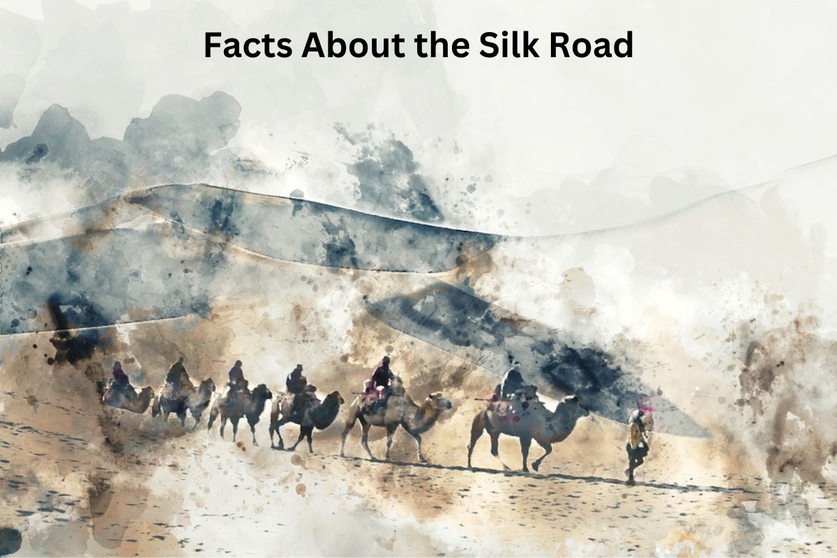 Facts About the Silk Road