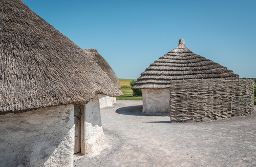 Neolithic House