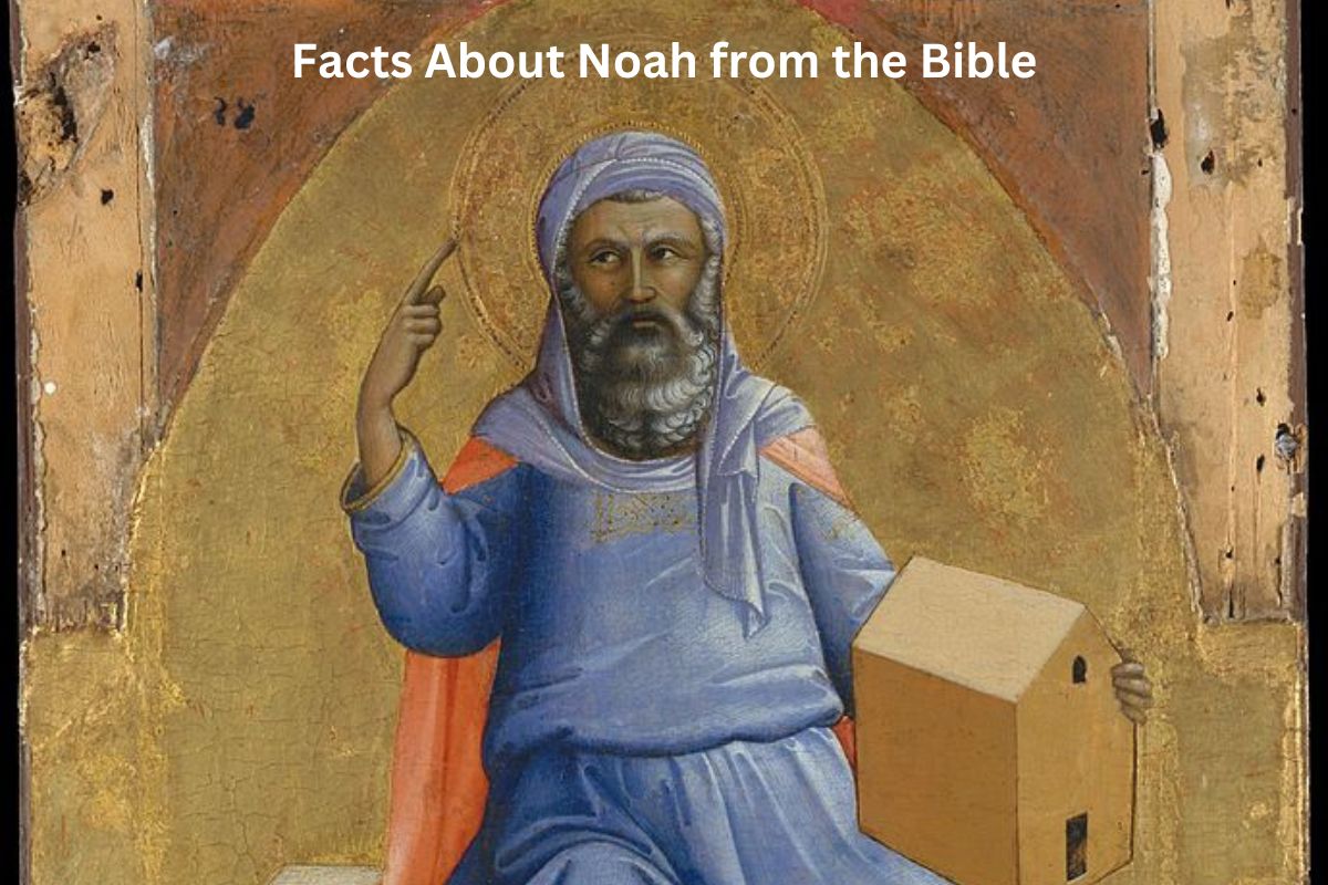 Facts About Noah from the Bible