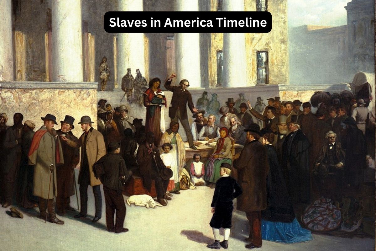 Slaves in America Timeline