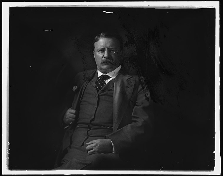 Theodore Roosevelt