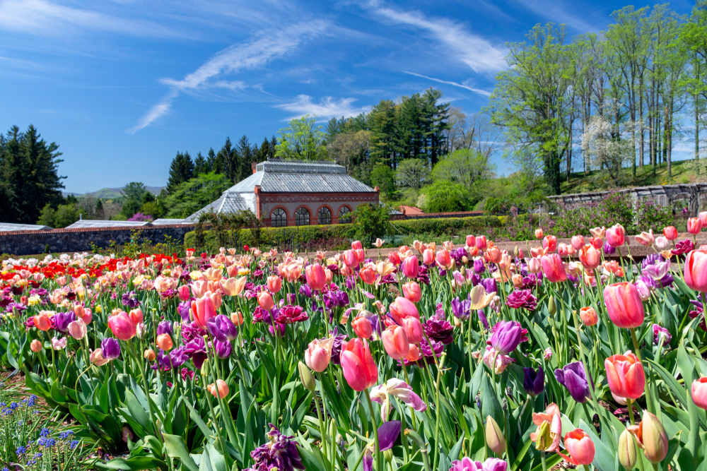 formal gardens of Biltmore Estate