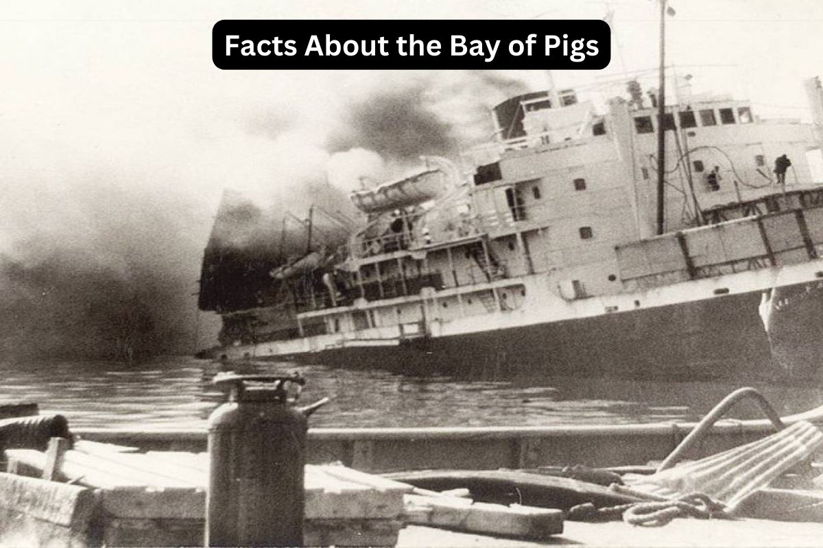 Facts About the Bay of Pigs