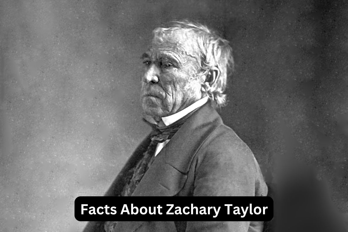 Facts About Zachary Taylor