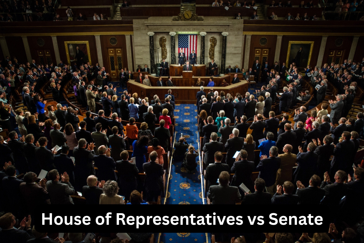 House of Representatives vs Senate